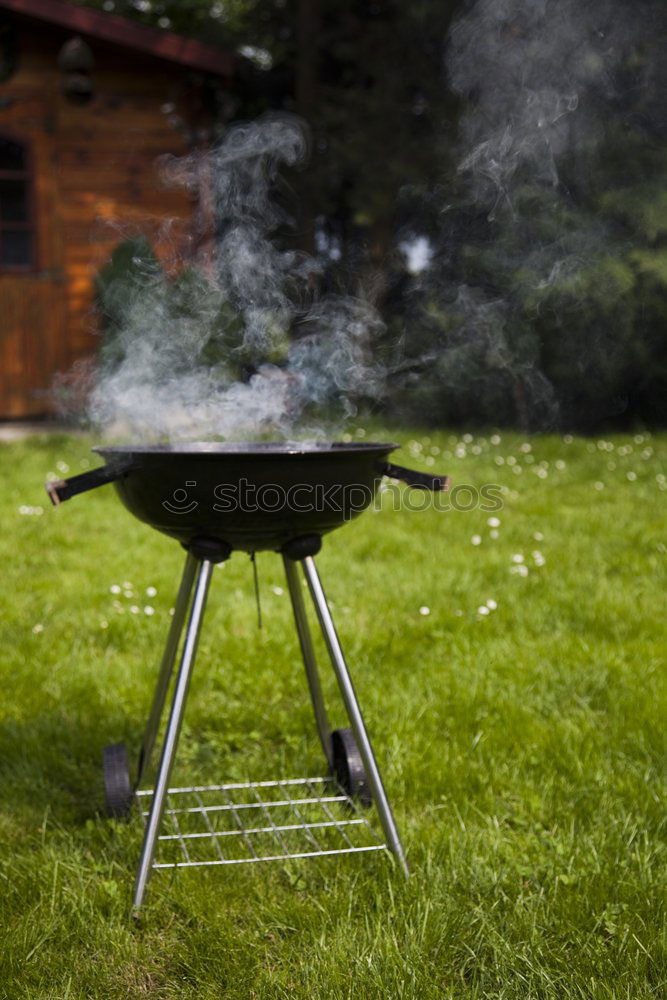 Similar – Ich weiß was du letzten Sommer gegrillt hast