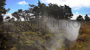 Similar – Foto Bild Aufsteigender Nebel Umwelt