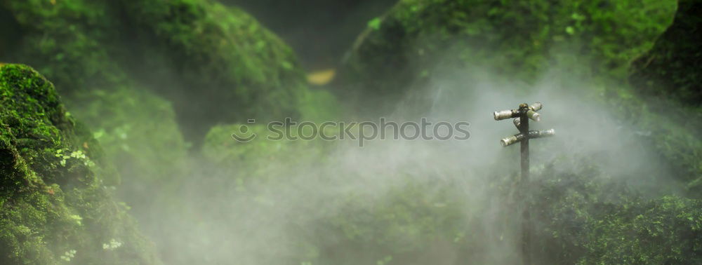 Similar – Image, Stock Photo 151455 Environment Nature