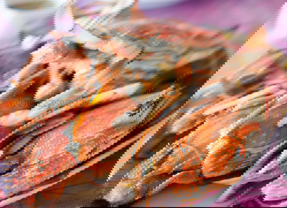 Similar – Image, Stock Photo Food photo II