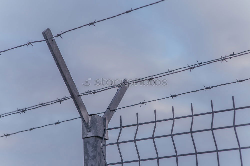 Similar – captive Wire Barbed wire