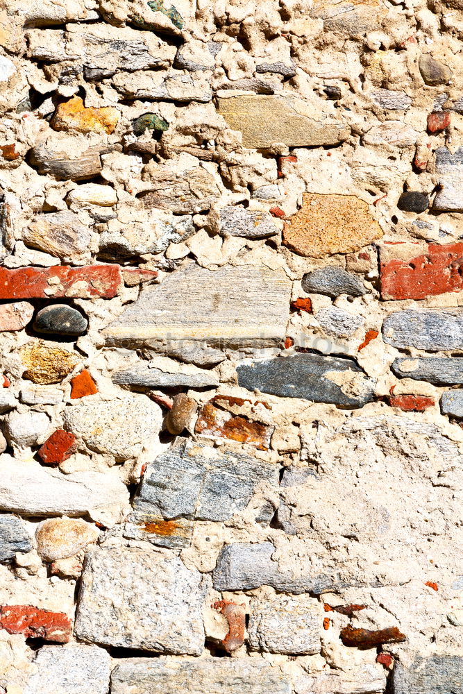 Similar – Foto Bild suchbild oder die katze auf dem (heißen blech)dach