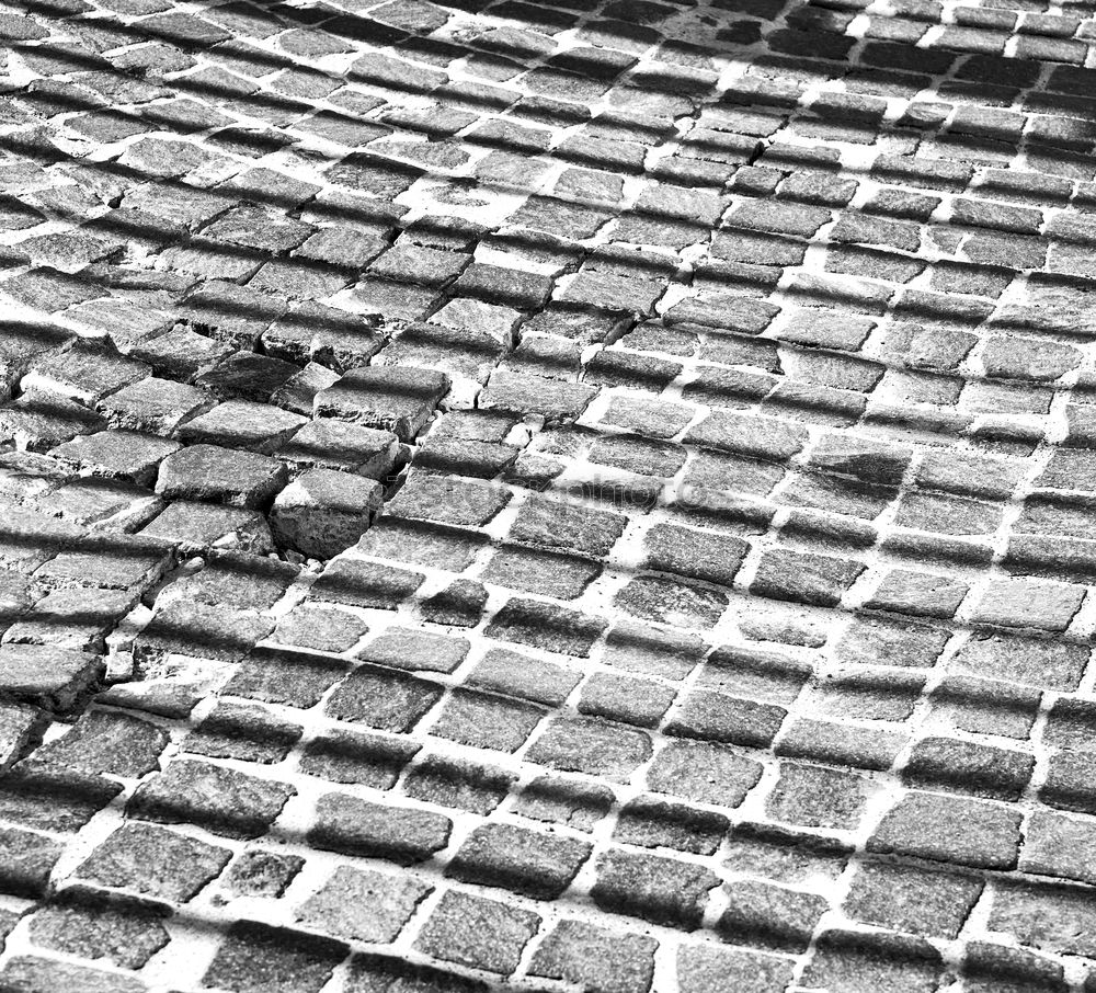 Similar – Image, Stock Photo Walking in the rain