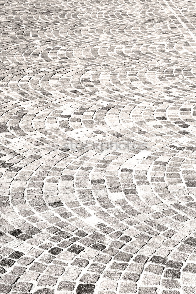 Similar – Image, Stock Photo onemillion bicycles in berlin