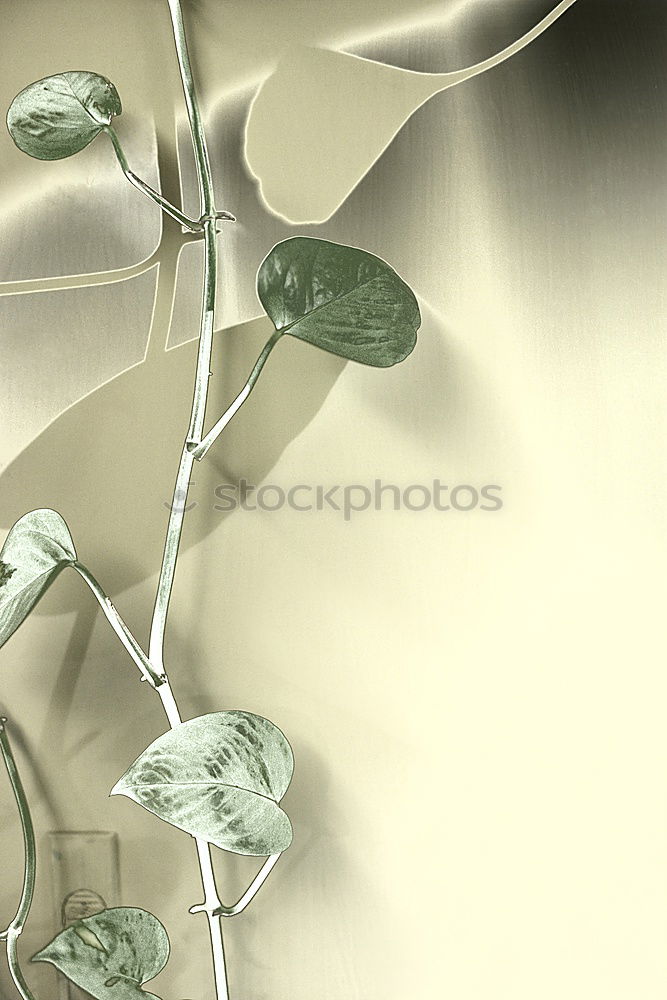 Similar – Image, Stock Photo gleaming chandelier