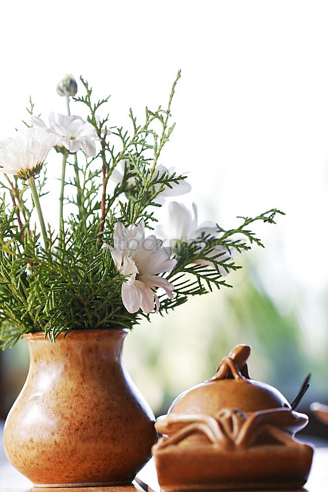 Similar – Foto Bild helle Hortensie in Vase mit Wasser auf blauer Tischdecke