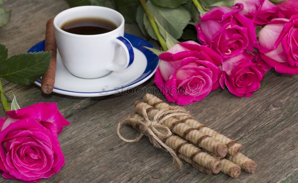 Similar – Image, Stock Photo bouquet of irises and a cup of coffee