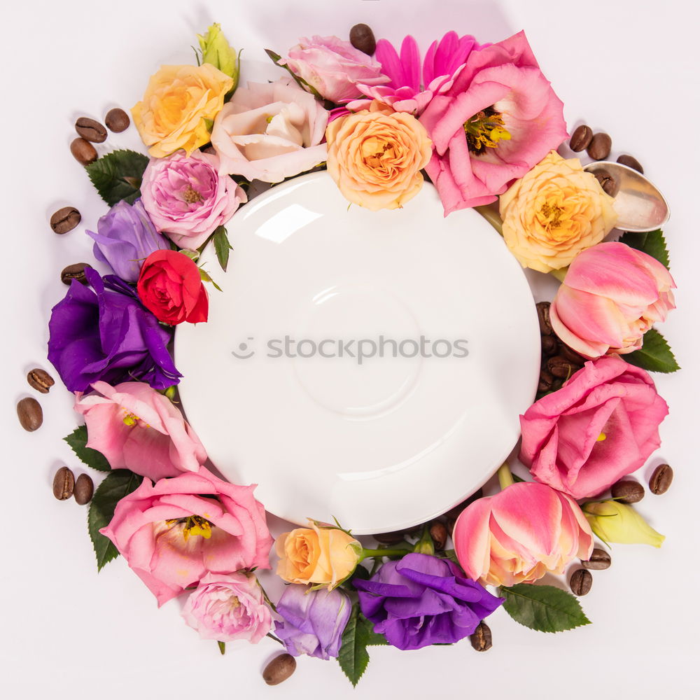 Similar – Image, Stock Photo Summer Feeling