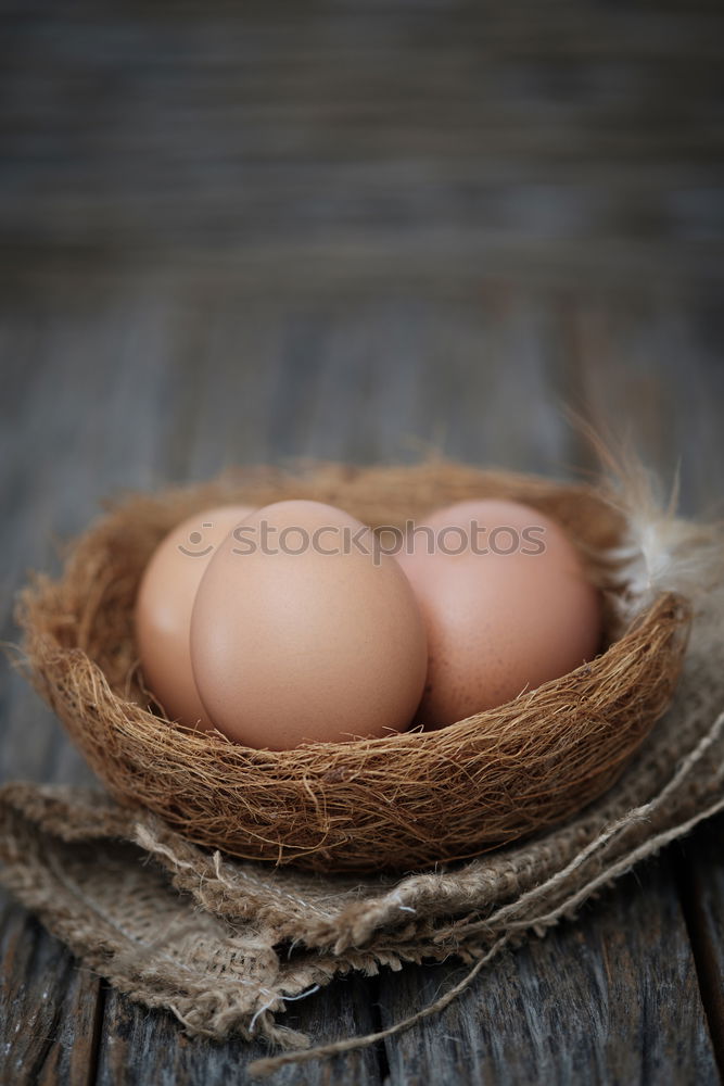 Similar – Image, Stock Photo Raw chicken eggs Eating