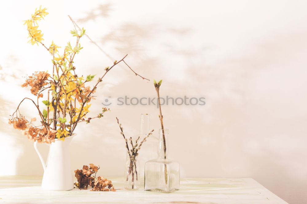 Similar – Watering can with garden flowers