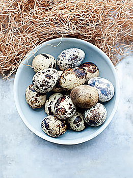 Similar – Image, Stock Photo Group of quail eggs in a gray textile napkin