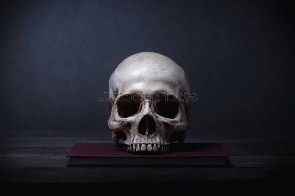 Similar – Vanitas with Skull and Topper Hat on wood