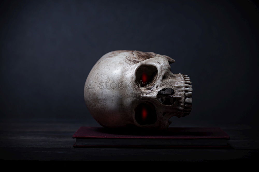 Similar – Image, Stock Photo Gallery of ancestors: A skull hanging on a wooden wall
