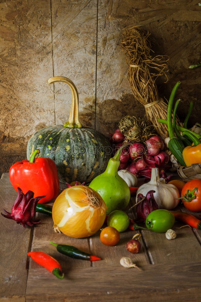 Similar – Colourful pumpkins with flowers, stems and leaves on slate