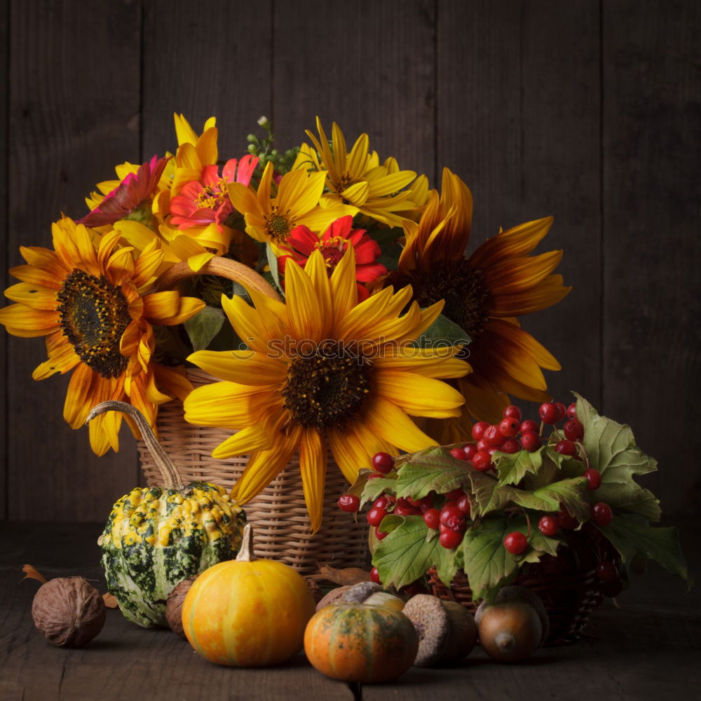 Similar – Image, Stock Photo Autumn bouquet of flowers with sunflowers