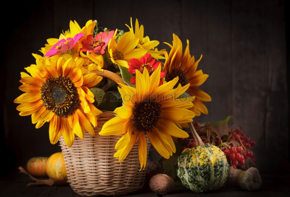 Similar – Image, Stock Photo Vase with sunflowers