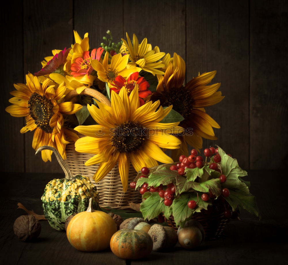 Similar – Image, Stock Photo Vase with sunflowers