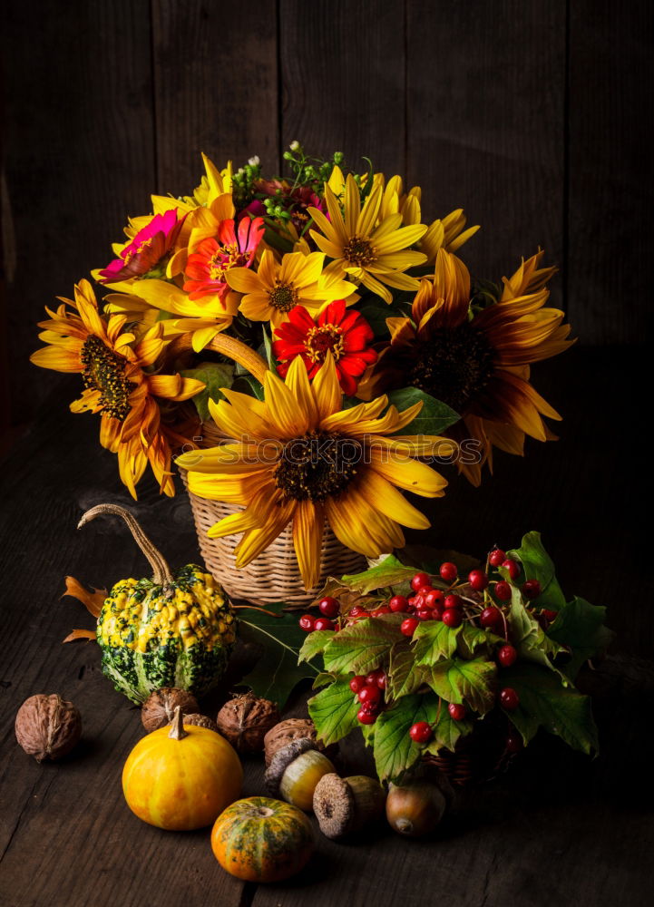 Similar – Image, Stock Photo Autumn bouquet of flowers with sunflowers