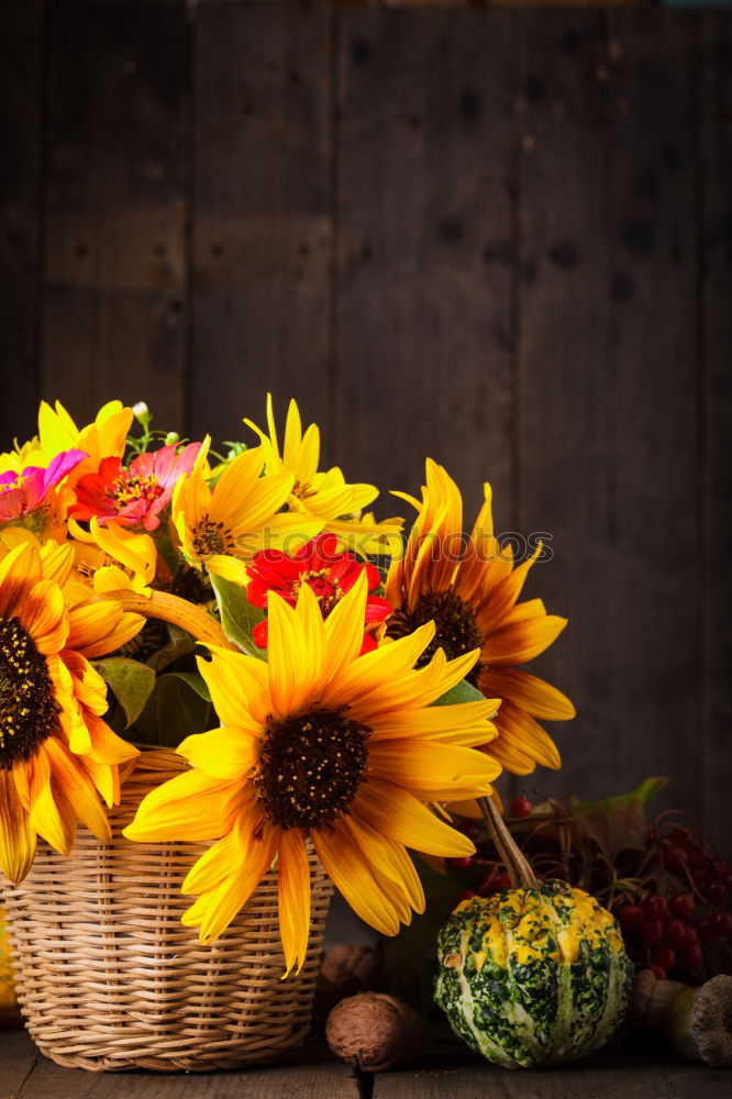 Similar – Image, Stock Photo Autumn bouquet of flowers with sunflowers