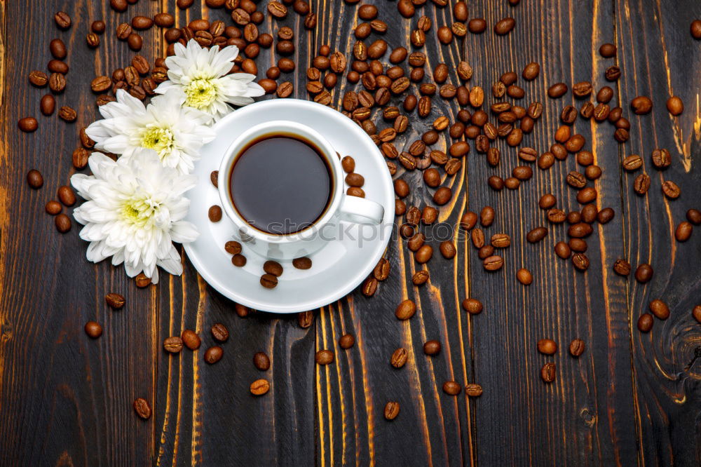 Similar – Black tea in a white cup and saucer and jasmine flowers