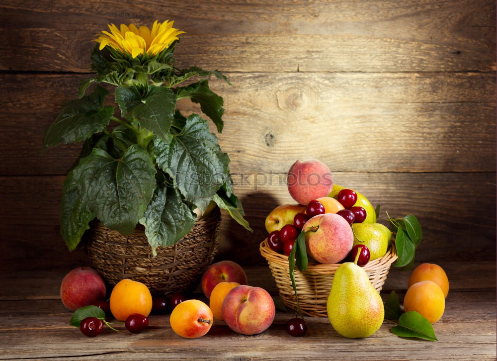 Similar – Image, Stock Photo Fruit basket in the meadow