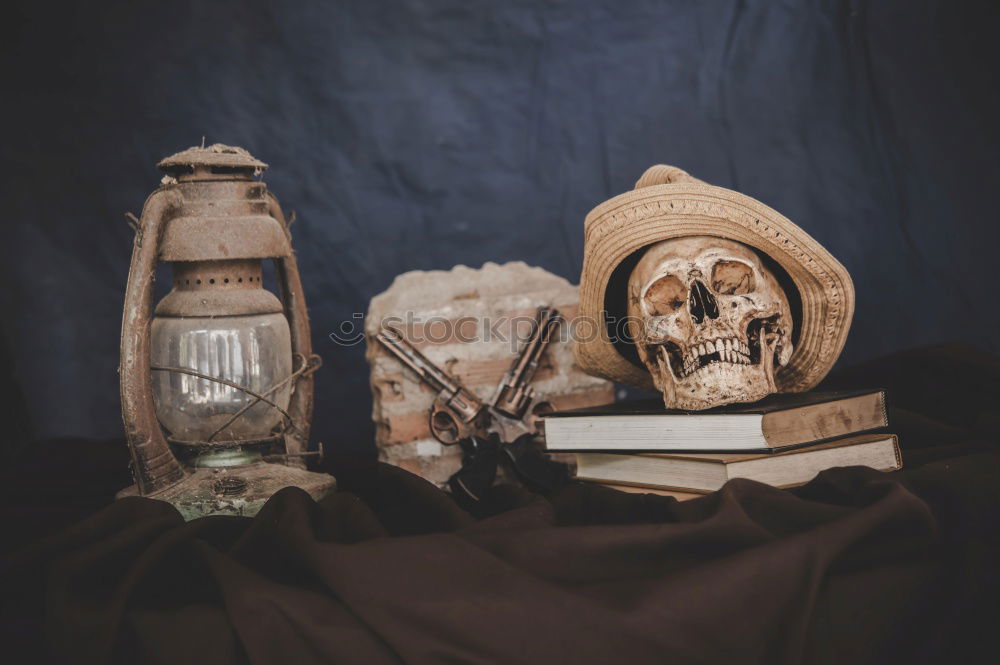Similar – Image, Stock Photo timeless | holiday memories