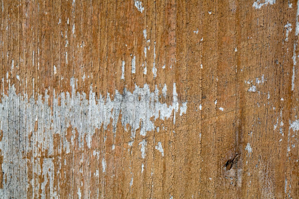 Similar – Image, Stock Photo Old wooden door Door