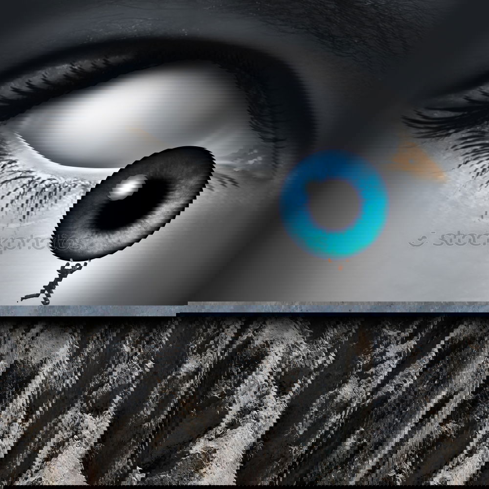 Similar – Image, Stock Photo X, scored