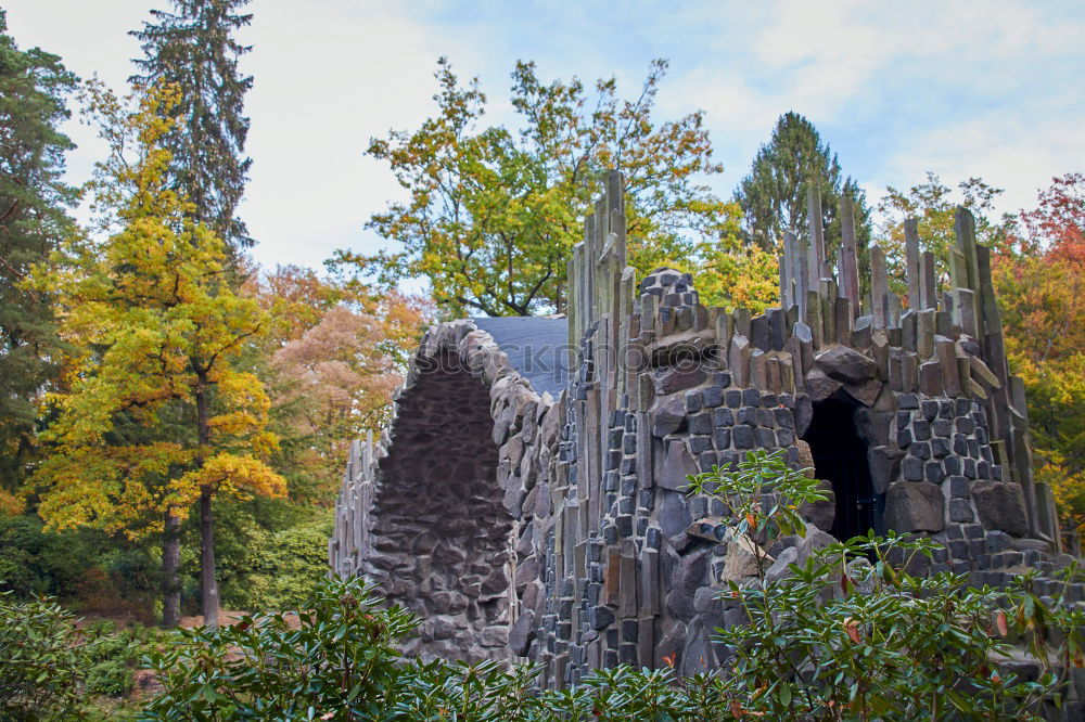 Similar – Image, Stock Photo tree felling