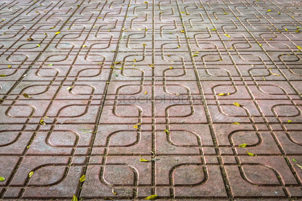 Similar – Image, Stock Photo arrow Footpath Sidewalk