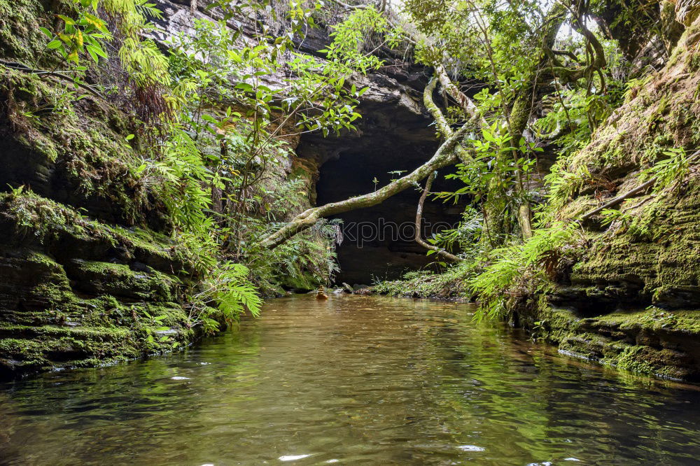 Recreation in green Hiking