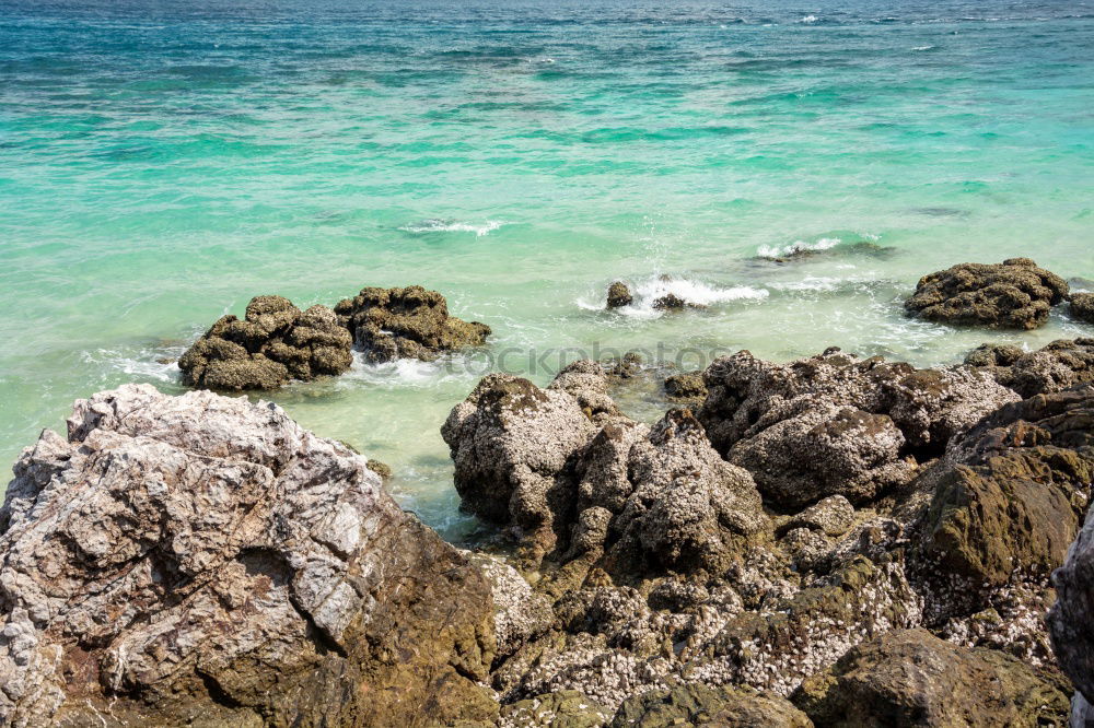 Similar – Strand Meer Wolken