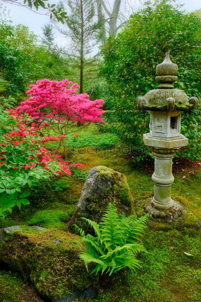 Similar – Image, Stock Photo Japanese Garden Landscape