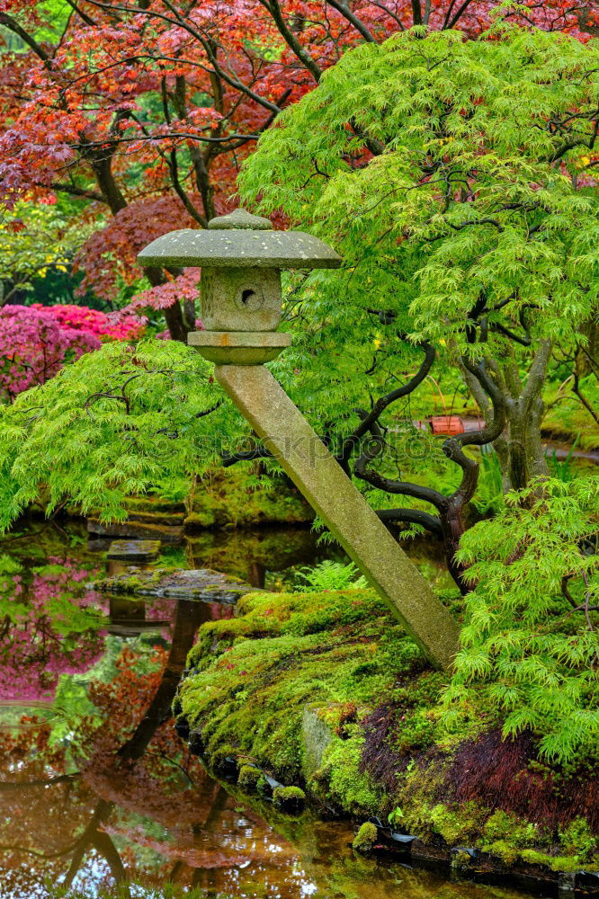 Similar – Image, Stock Photo Japanese Garden Landscape