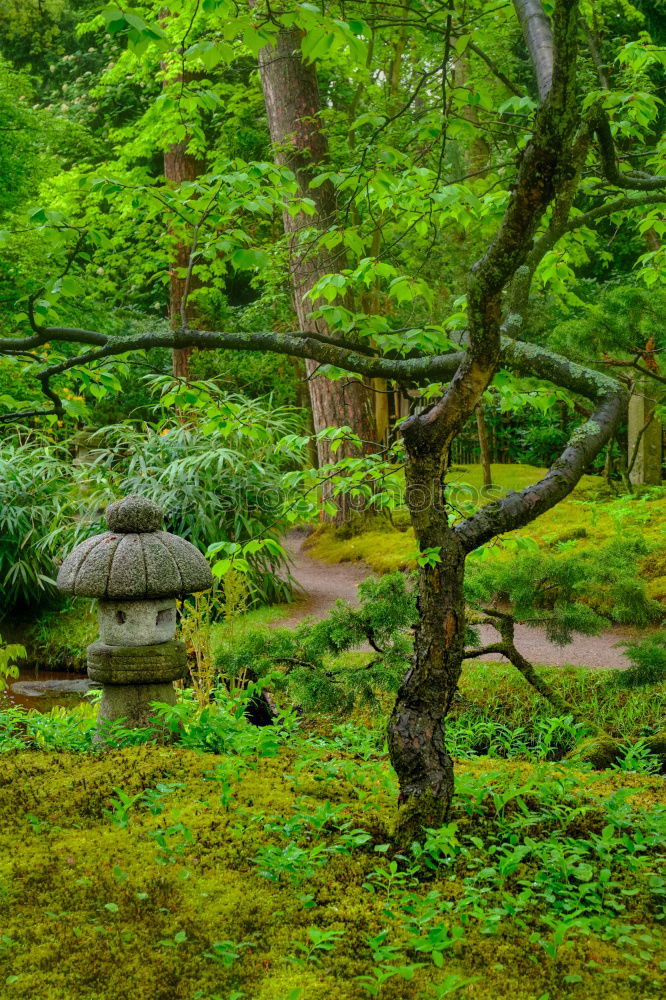 Similar – Image, Stock Photo Japanese Garden Landscape