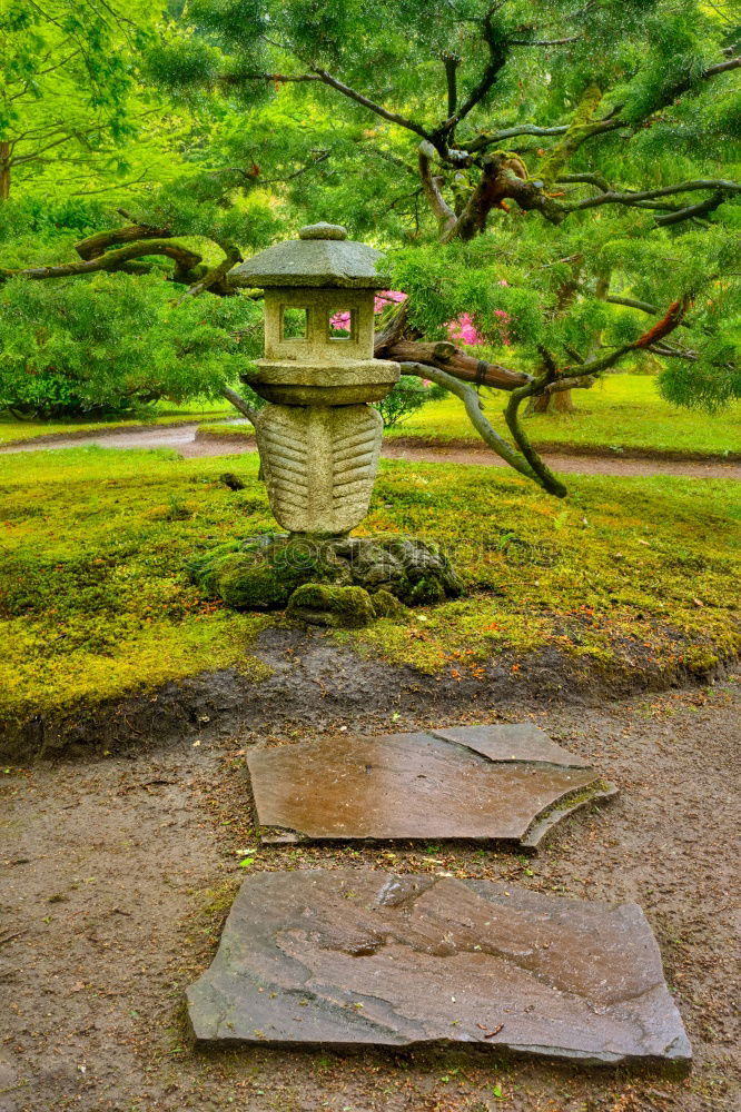 Similar – Image, Stock Photo Japanese Garden Landscape
