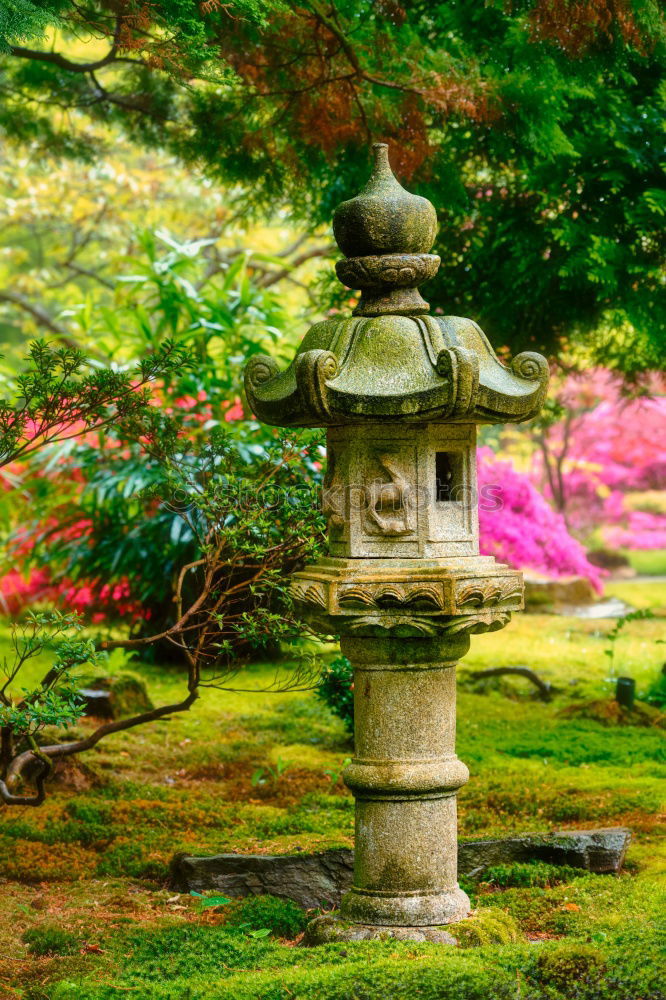 Similar – Image, Stock Photo Japanese Garden Landscape