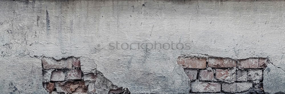 Similar – Image, Stock Photo coverage Wall (barrier)