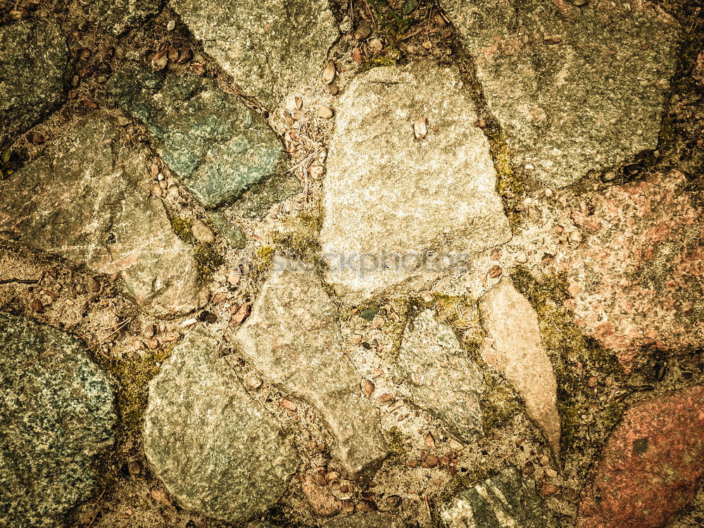 Similar – underwater leaf Leaf