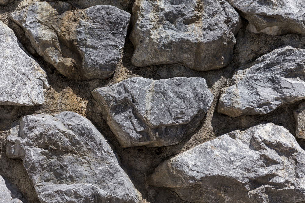 Similar – Foto Bild Hart wie Granit 1