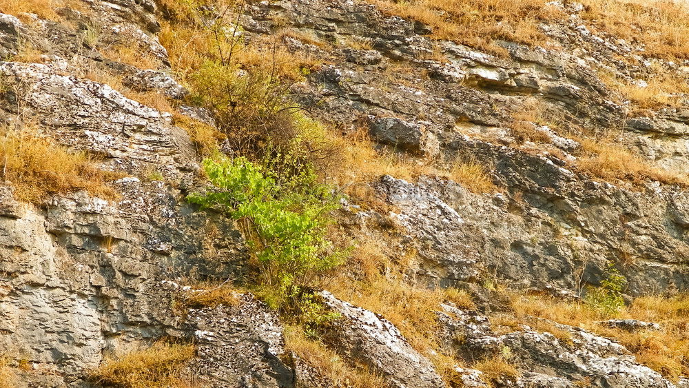 Similar – Image, Stock Photo Hilly landscape in Wales