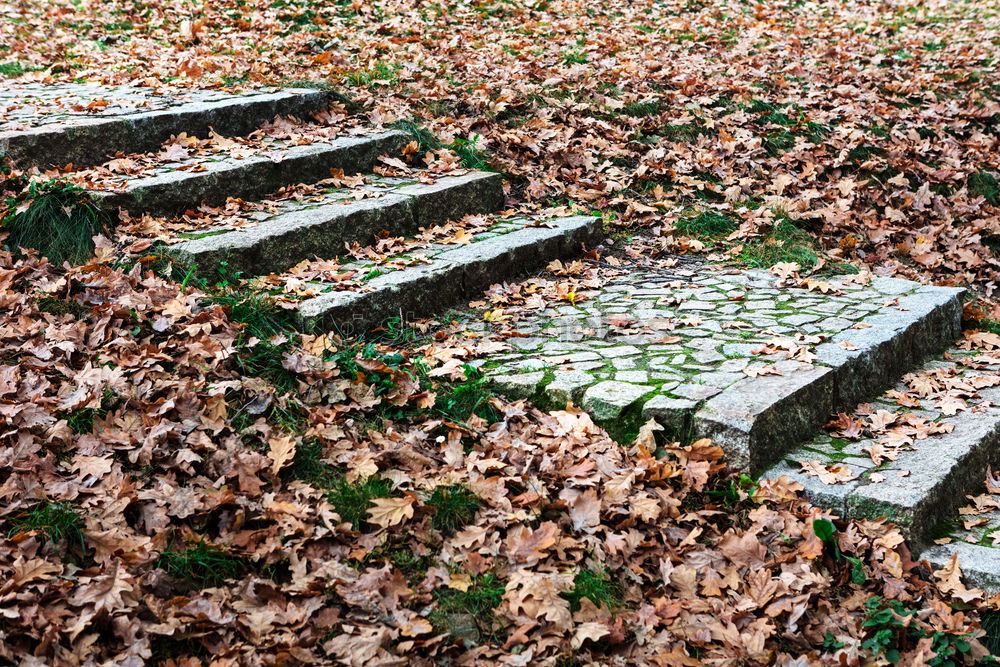 Similar – Geländer umfrieden