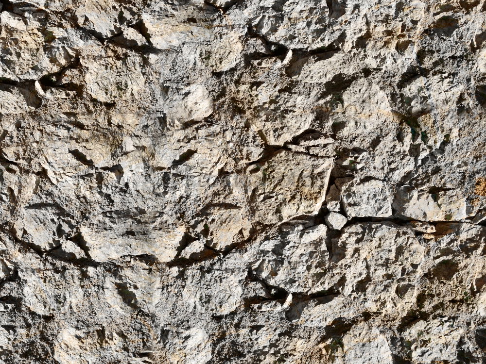 Similar – Viel Glück verloren Baum