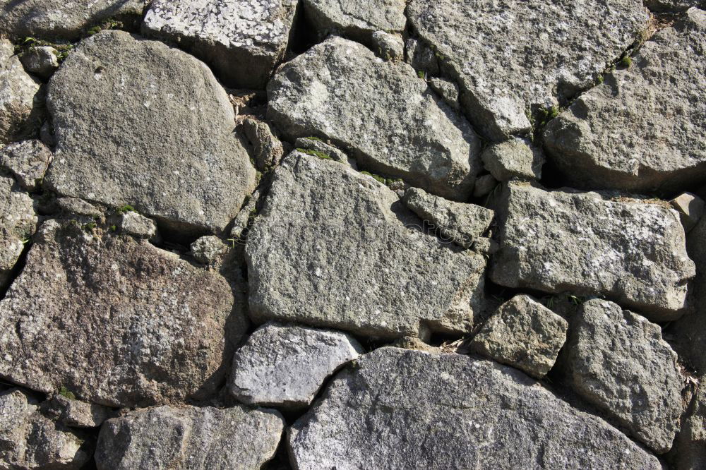 Similar – Image, Stock Photo #AS# stones Environment