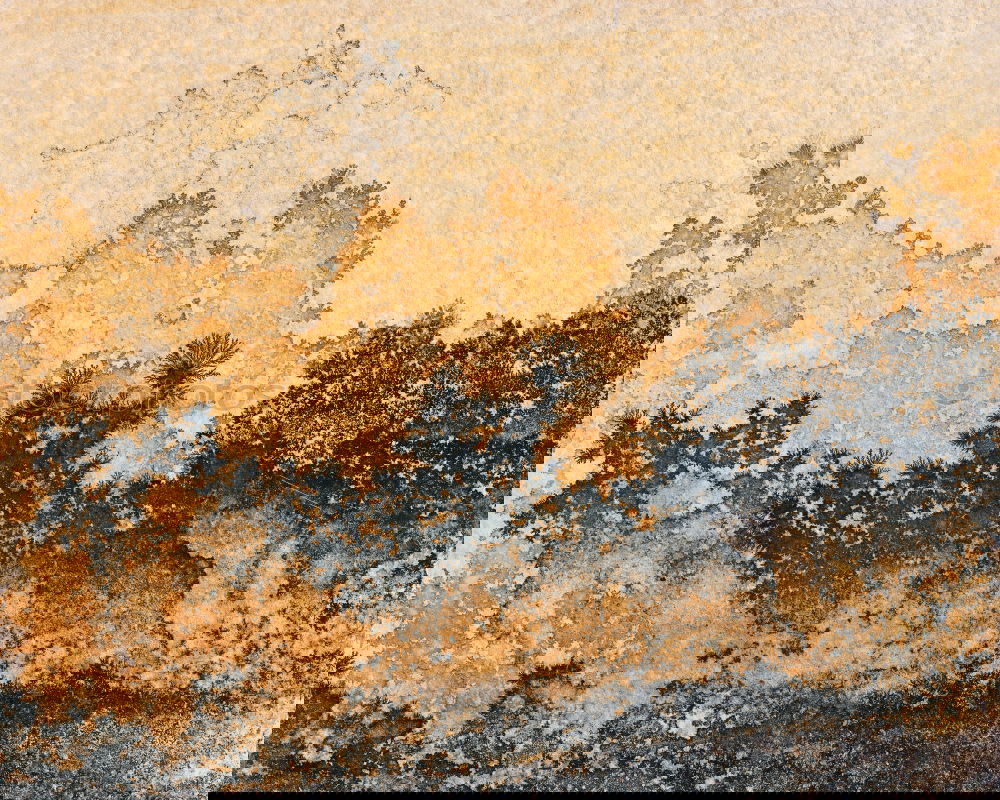 Similar – Foto Bild Das „Fenster“ zum Hof Zaun