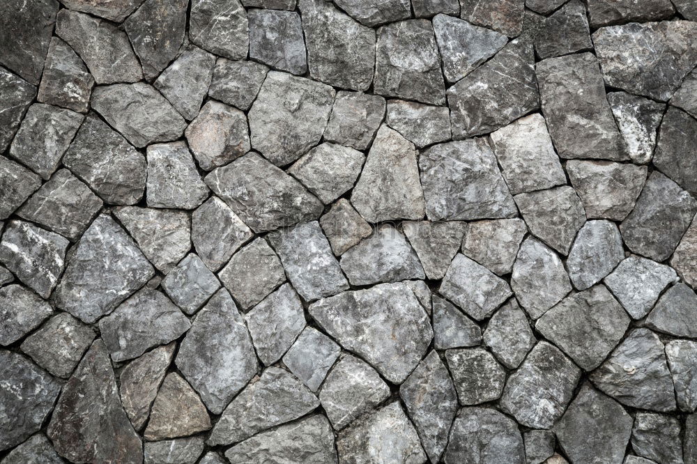 Image, Stock Photo old weathered wood surface of a door