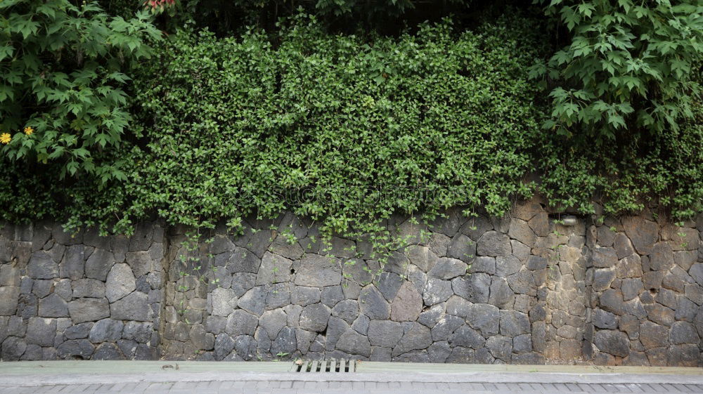 Similar – Image, Stock Photo Good neighbors don’t need a fence.