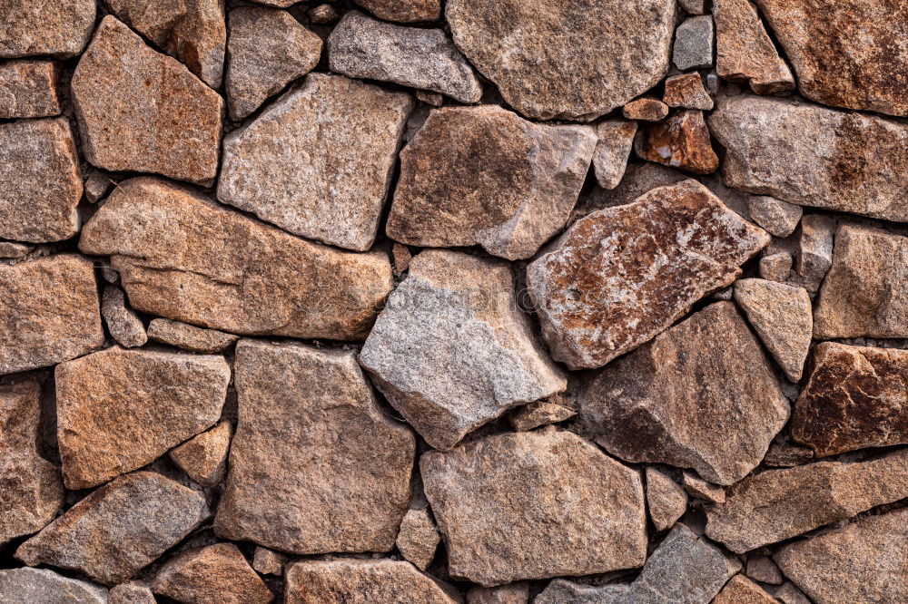 Similar – Image, Stock Photo Stone and Autumn