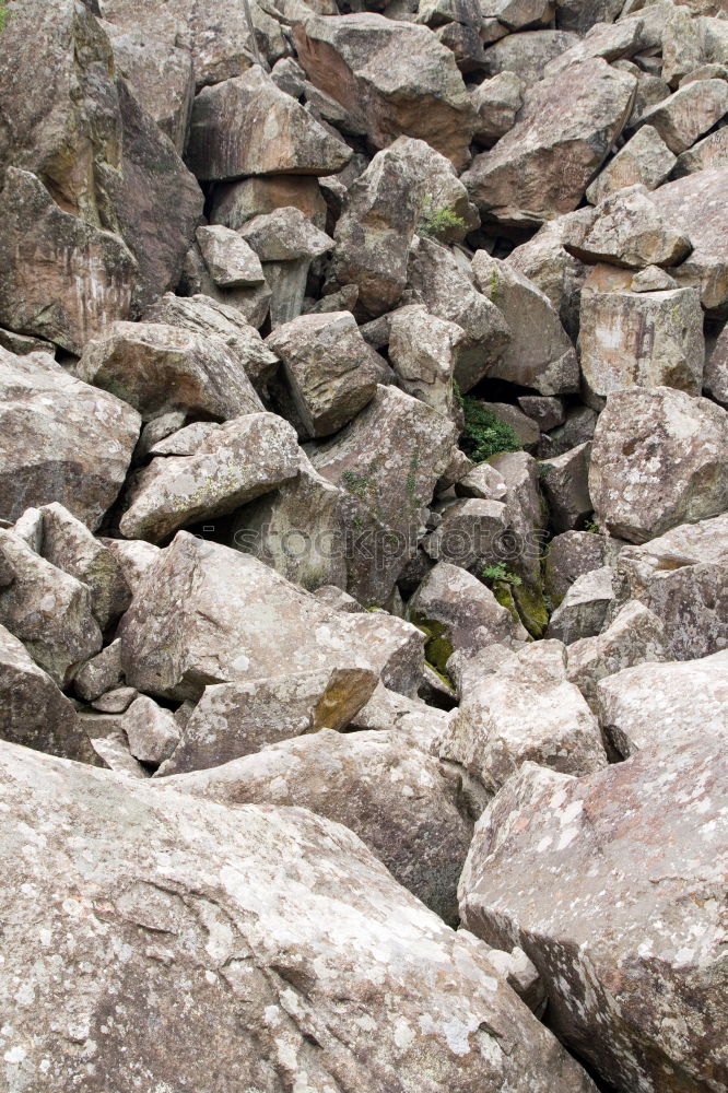 Similar – Boy hiking in the mountains