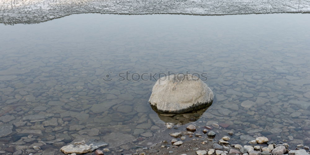 Similar – Foto Bild Morgenwiese Pflanze Wasser